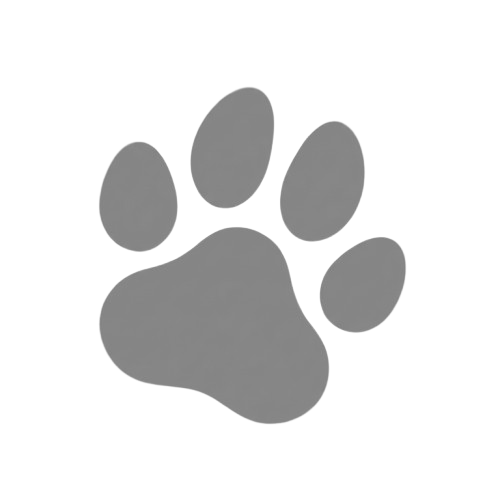 Paw print icon